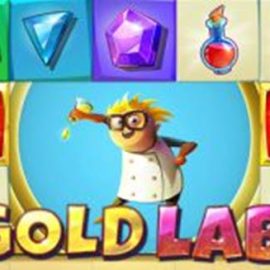 Gold Lab