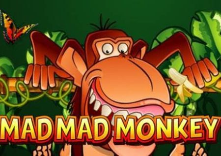 Mad Mad Monkey