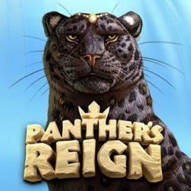 Panther’s Reign